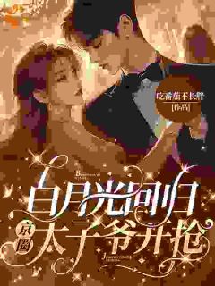 抖音小说《白月光回归，京圈太子爷开抢》陆妄辞虞晚颜全文txt
