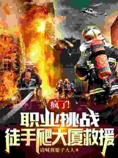 疯了！职业挑战，徒手爬大厦救援小说-陈北萨贝宁全篇阅读
