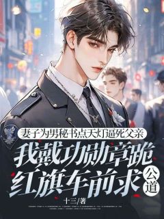《妻子为男秘书点天灯逼死父亲，我戴功勋章跪红旗车前求公道》顾秋苏慕雪全章节目录免费阅读
