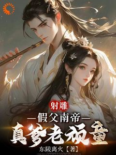 射雕：假父南帝真爹老顽童(段星炎刘贵妃)小说全章节目录阅读
