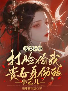 边关归来，打脸偷我贵女身份的小乞儿是什么小说林书仪林芸儿全本免费阅读
