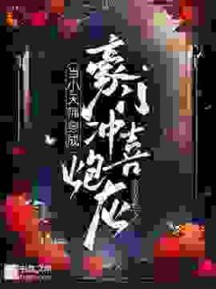 《当小天师穿成豪门冲喜炮灰》苍宝傅寒柏小说全文阅读

