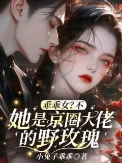 《乖乖女？不，她是京圈大佬的野玫瑰》小说许漾沈砚免费阅读
