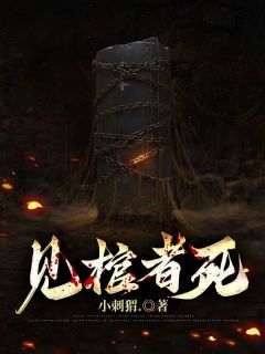 见棺者死在哪免费看，舒白白李院长小说章节目录阅读
