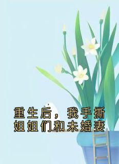 《重生后，我手撕姐姐们和未婚妻》周皓轩江凡-小说txt全文阅读
