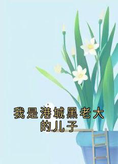 《我是港城黑老大的儿子》精彩章节-我是港城黑老大的儿子免费阅读全文
