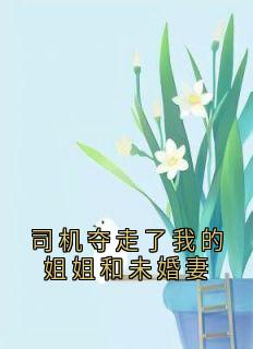 抖音司机夺走了我的姐姐和未婚妻by周皓轩在线阅读
