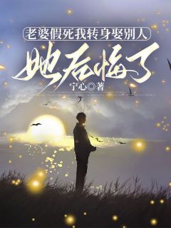 老婆假死我转身娶别人，她后悔了(萧远廷沈乔月)小说全章节目录阅读
