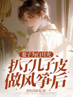 《妻子为白月光把儿子做了风筝》无广告阅读 叶言泽温初年免费在线阅读
