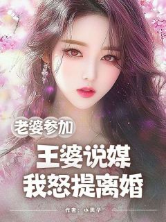 老婆参加王婆说媒，我怒提离婚在线阅读 张龙刘兰免费小说精彩章节
