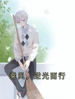 《乘风，逆光而行》小说陈乐川苏盈陆沉免费阅读
