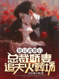 抖音爆款小说《协议离婚后，总裁娇妻追夫火葬场许慎舟顾念遥》免费txt全文阅读
