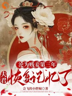 贬妻为妾，侯爷我不伺候啦小说在线阅读，主角余启慎如精彩段落最新篇
