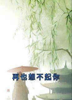 再也想不起你