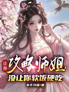 老书虫看了N遍的让你攻略师姐，没让你软饭硬吃最新章节
