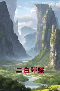 二白坏婆