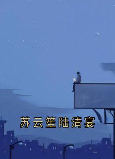 苏云笙陆清宴