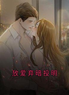放爱弃暗投明