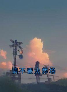 请不要火葬场