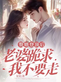 值得熬夜看完的赘婿登顶后，老婆跪求我不要走小说阅读
