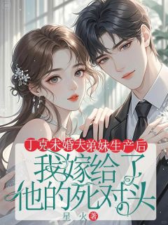 丁克未婚夫弟妹生产后，我嫁给了他的死对头小说(完结)-沈辰贺凌唐珊珊章节阅读
