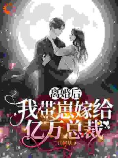 《离婚后，我带崽嫁给亿万总裁》苏晓慧靳言全章节在线阅读

