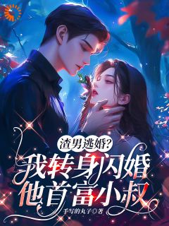 热门推荐闪婚豪门大佬后，我成渣男婶婶了by手写的丸子小说正版在线
