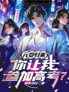 抖音苏北林风小说叫什么名字
