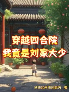 《穿越四合院，我竟是刘家大少》小说刘光奇刘海中免费阅读
