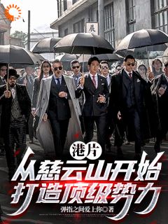 港片：从慈云山开始打造顶级势力小说主角是高成李文彬全文完整版阅读
