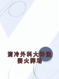 清冷外科大神追妻火葬场小说在线阅读，主角夏欲晚江厌精彩段落最新篇
