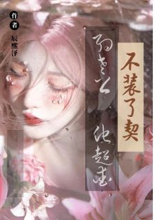 沈确江晚辰熙泽小说全章节最新阅读
