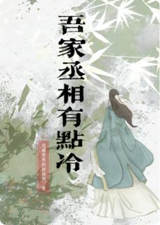 《吾家丞相有点冷》小说免费阅读 苏芷沈砚大结局完整版
