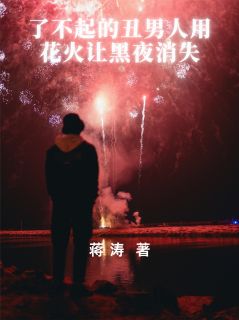 主人公洪二陆沉在线免费试读《了不起的丑男人用花火让黑夜消失》最新章节列表
