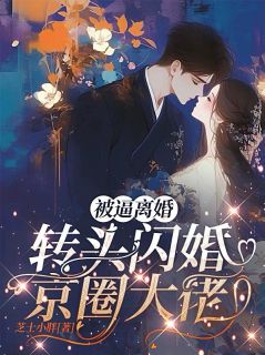好看的被逼离婚，转头闪婚京圈大佬小说，主角沈南栀秦经纬最新章节阅读

