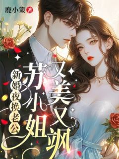 新婚夜换老公，苏小姐又美又飒(苏奈蒋京墨)最新章节试读
