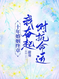 精品小说十年婚姻终章，我奋起对抗命运全文目录畅读

