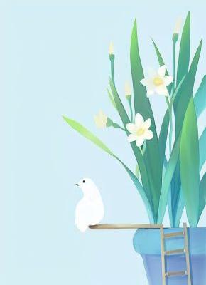 花开花谢，相思无尽